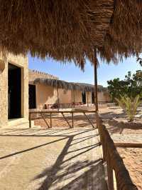 Unforgetable Sand Dune Holiday