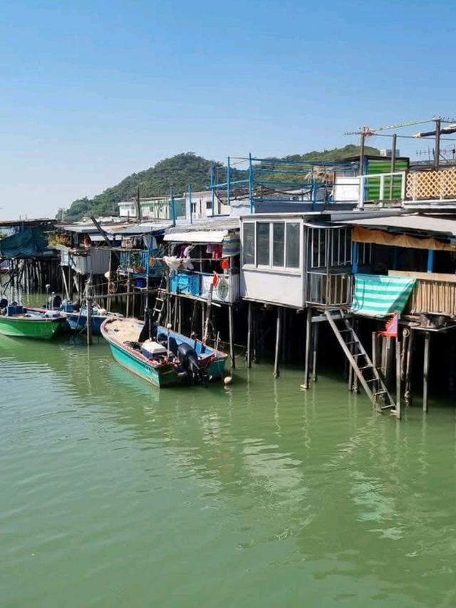🎣🐟 A Day in Tai O: Hong Kong’s Hidden Fishing Paradise! 🛶🌊