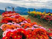 Atok, Benguet: A Hidden Paradise in the Clouds