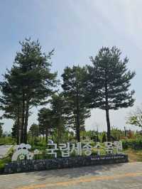 알록달록 다양한 볼거리의 수목원 한바퀴 👫