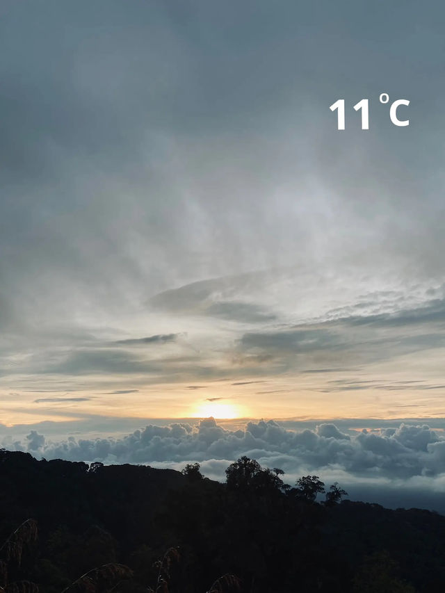📸 How to ถ่ายรูปที่จุดชมวิวดอยอินทนนท์ให้ปัง! ⛰️