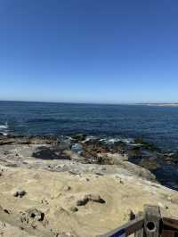🐬 샌디에고 La Jolla Cove, 바다사자와 함께하는 해변!