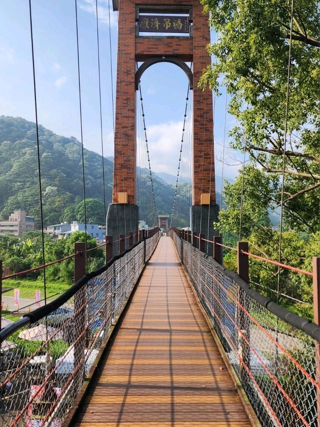 苗栗桐花5月雪初體驗，包車遊玩更舒適，雖然少少貴