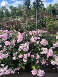 Flowers Day