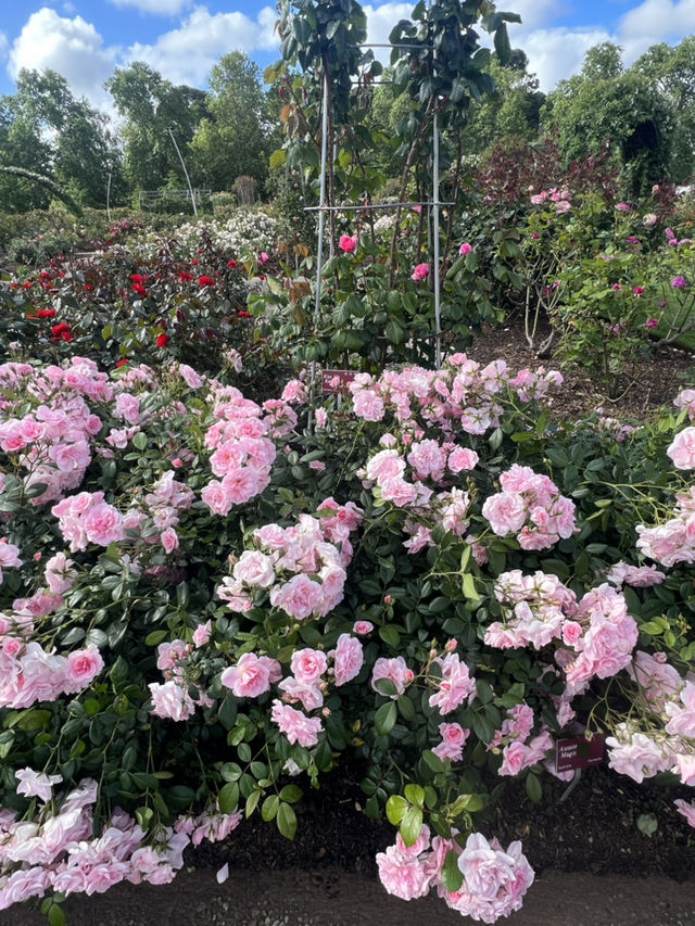 Flowers Day