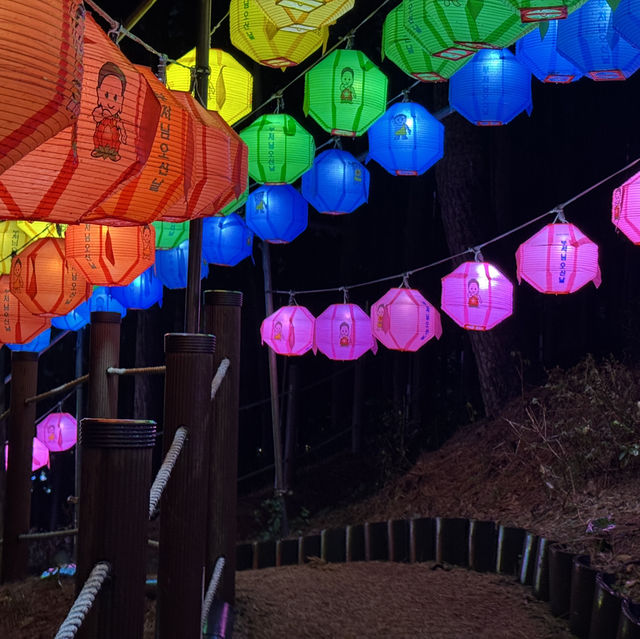 삼광사 연등축제