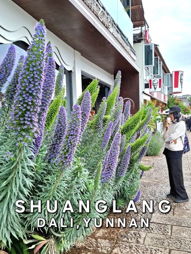 WHY SOUTH GATE IS THE SCENIC WAY INTO SHUANGLANG ANCIENT TOWN