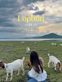 นิวซีแลนด์เมืองไทย ท้ายเขื่อนป่าสักชลสิทธิ์