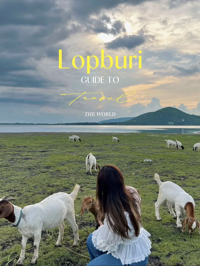 นิวซีแลนด์เมืองไทย ท้ายเขื่อนป่าสักชลสิทธิ์