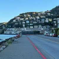“Sausalito: Where the bay sparkles, the art flows, and life feels like a postcard.” ✨🌊⛵🎨🍷