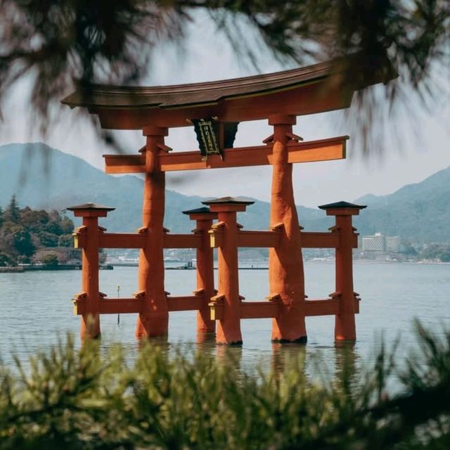 japan trip