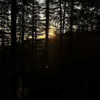 2 Days in Shimla