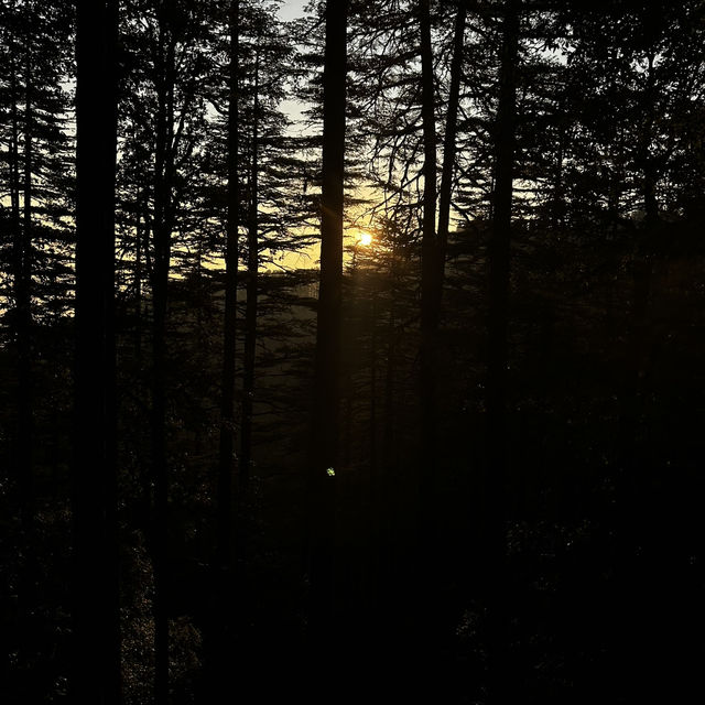 2 Days in Shimla
