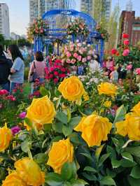 Title: Hangang Park: Seoul’s Riverside Playground of Nature, Culture, and Adventure