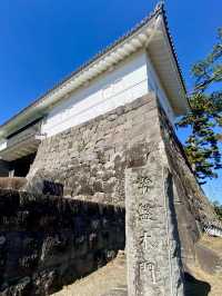 A Gentle Walk Through Odawara – Castles, Coastlines & Sunset Calm