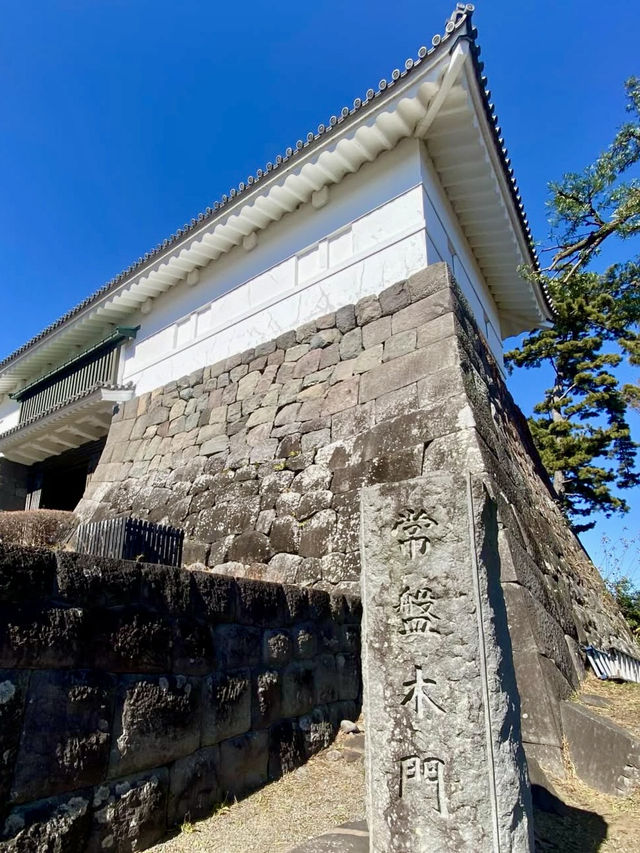 A Gentle Walk Through Odawara – Castles, Coastlines & Sunset Calm