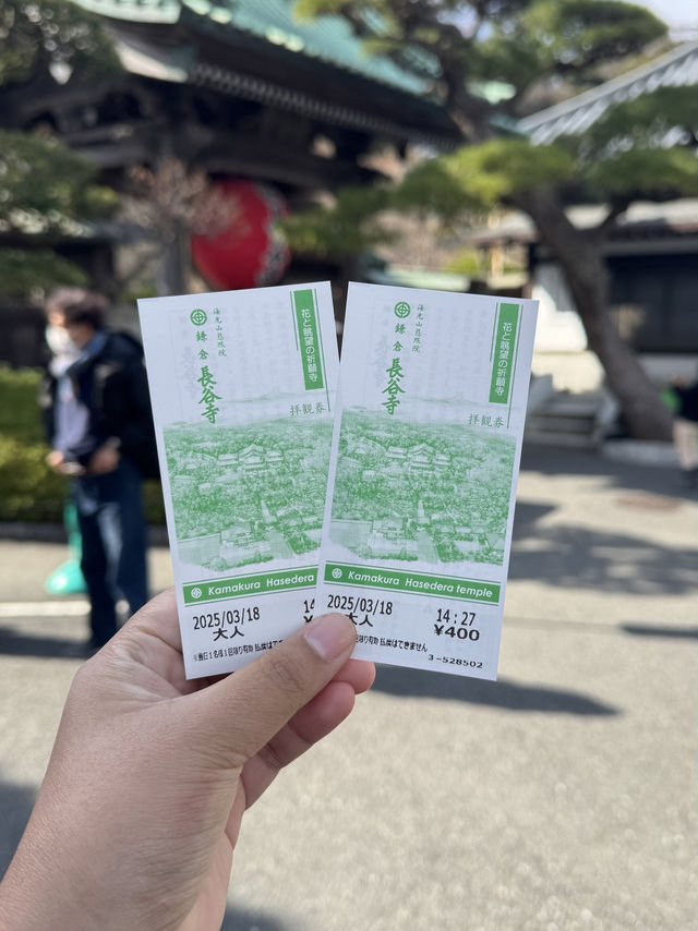 Hasedera Temple ✨ วัดเก่าแก่ในเมือง Kamakura