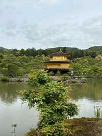 Kinkaku-ji: The Golden Pavilion of Kyoto