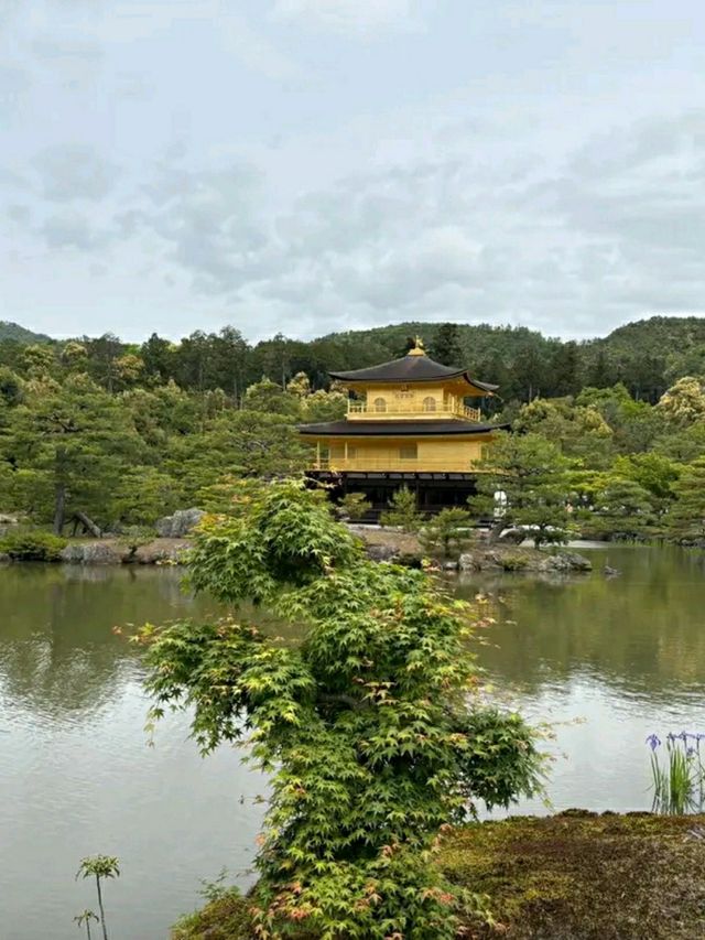 Kinkaku-ji: The Golden Pavilion of Kyoto