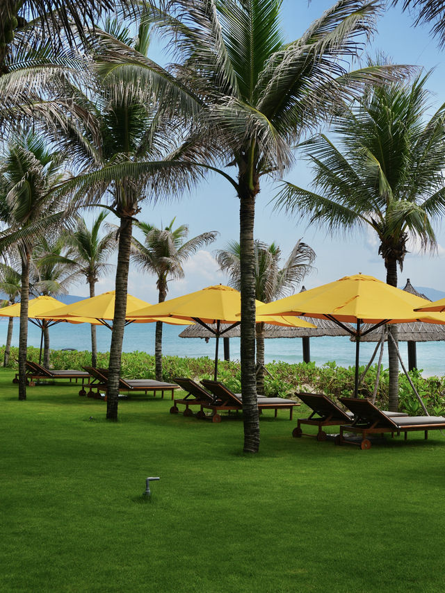 깜란 공항 5분컷! 나트랑 신상리조트 발견🌴