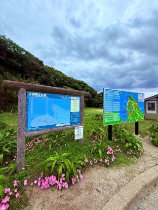 Totoro Forest in Itoshima