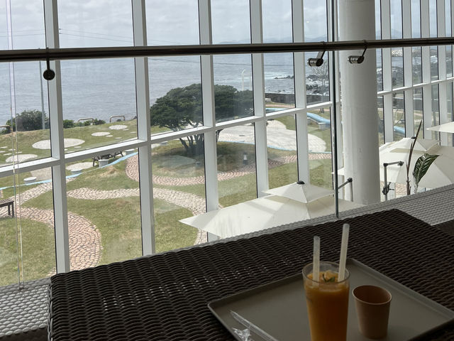 제주도 카페 투어 여행