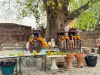 🌟 Tranquil Charm at Wat Kudi Dao