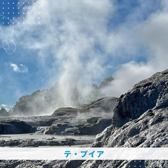 【NZ】🌋オークランドからロトルアへ！
