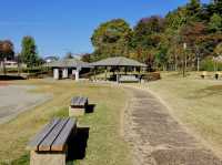 The Ōyasuba Kofun