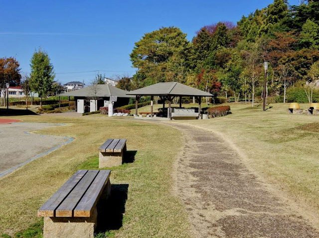The Ōyasuba Kofun