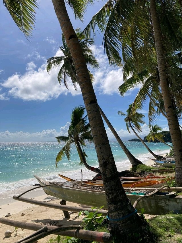 Bay Breeze: A Tranquil Beach View from Carabao Island Romblon