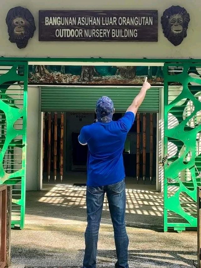 Itinerary: Sepilok Orang Utan Rehabilitation Centre - The Biggest Sanctuaries Orang Utan in Malaysia