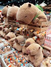 Discover QPocket: Must-Visit Gem While Strolling Bukit Bintang