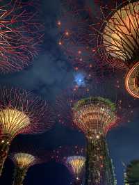 KL🇲🇾 to Singapore 🇸🇬 in 24 Hours: A Budget-Friendly Sprint 
