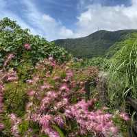 雀客藏居-陽明山