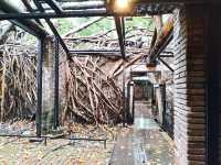 Anping Tree House