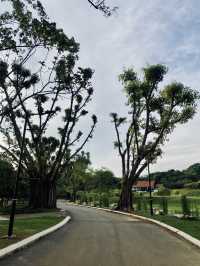 Weekend Plans? Let’s Cycle, Jog, Breakfast & More at Taman Botani Putrajaya!