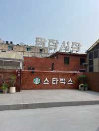 🪭이국적인 분위기가 물씬 나는 광장시장 스타벅스🖤