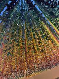 Art & vibrant escapes 
