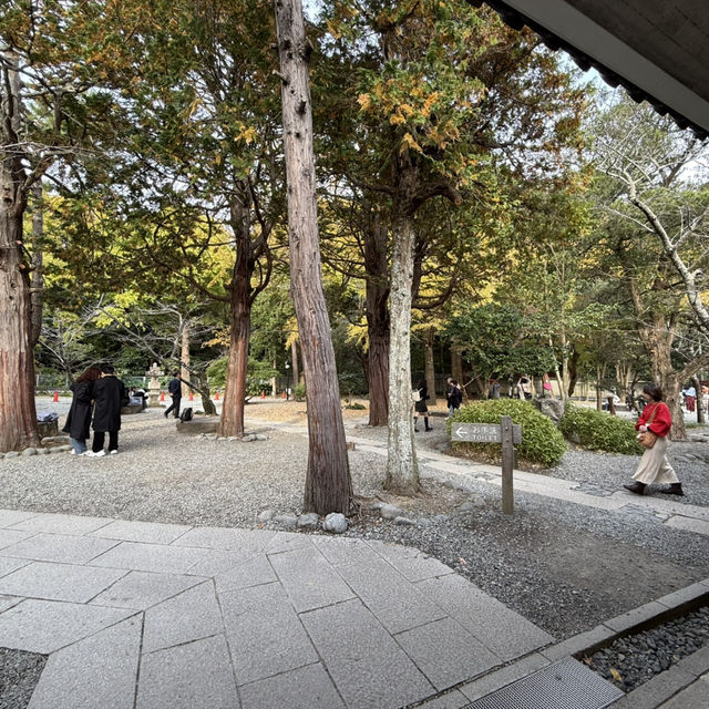 Kotoku-in (Kamakura Daibutsu) 🙏🗿