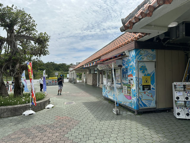 【お得に美ら海水族館へ行こう｜伊芸SAで前売りチケット販売中】