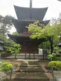 #豪德寺#東京近郊#招財猫#必到景點