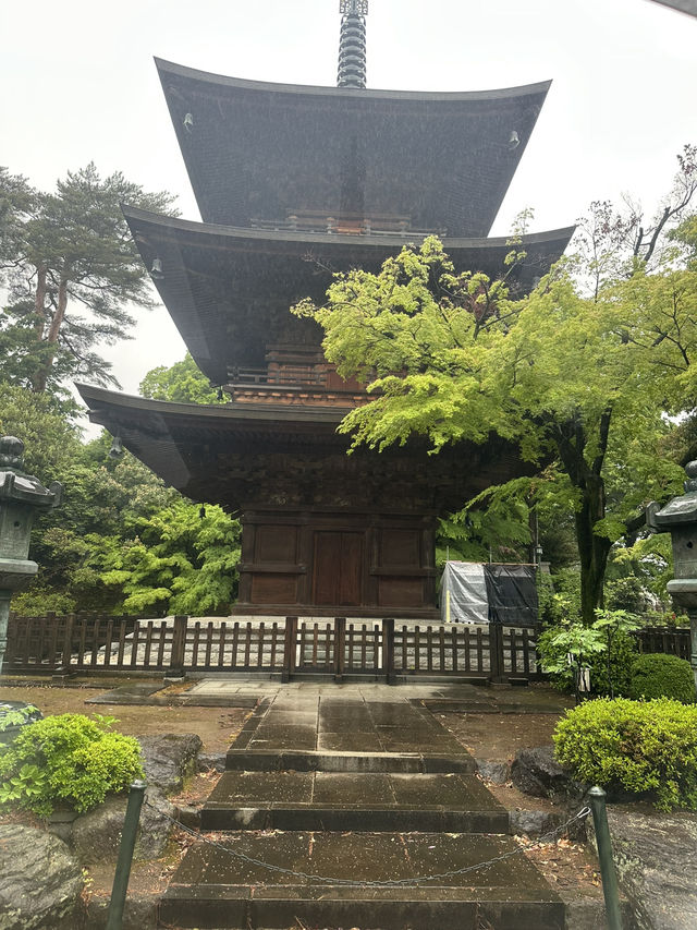 #豪德寺#東京近郊#招財猫#必到景點