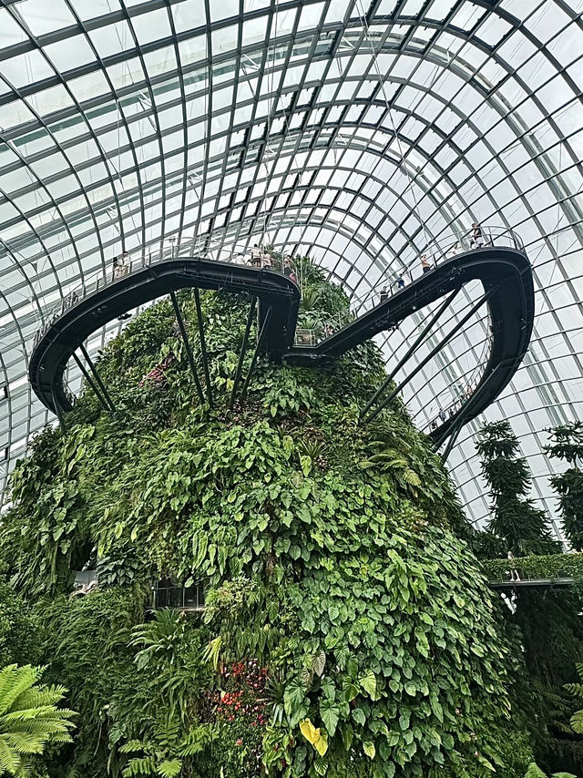 สิงคโปร์น่าเที่ยว🇸🇬
