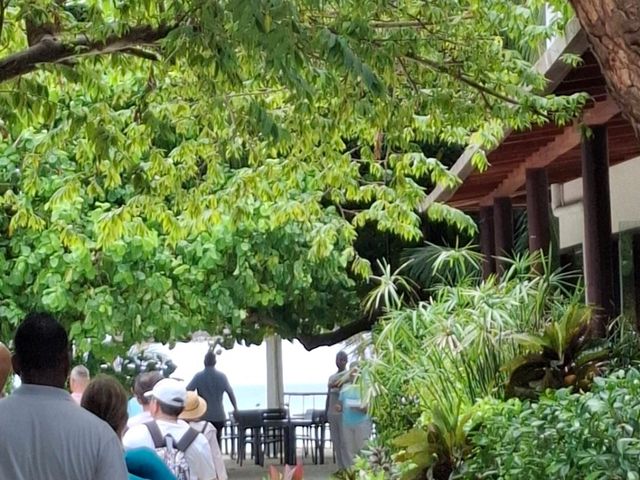 🦈鯊魚蜂擁而至的酒店 Plumeria Maldives 🩵🩵