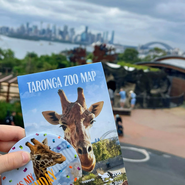 Must-Visit in Sydney: Taronga Zoo 🐨💖