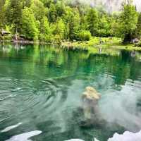 探訪阿爾卑斯山間的秘境～藍湖Blausee