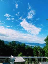 🌿 自然と共生する「箱根山テラス」
