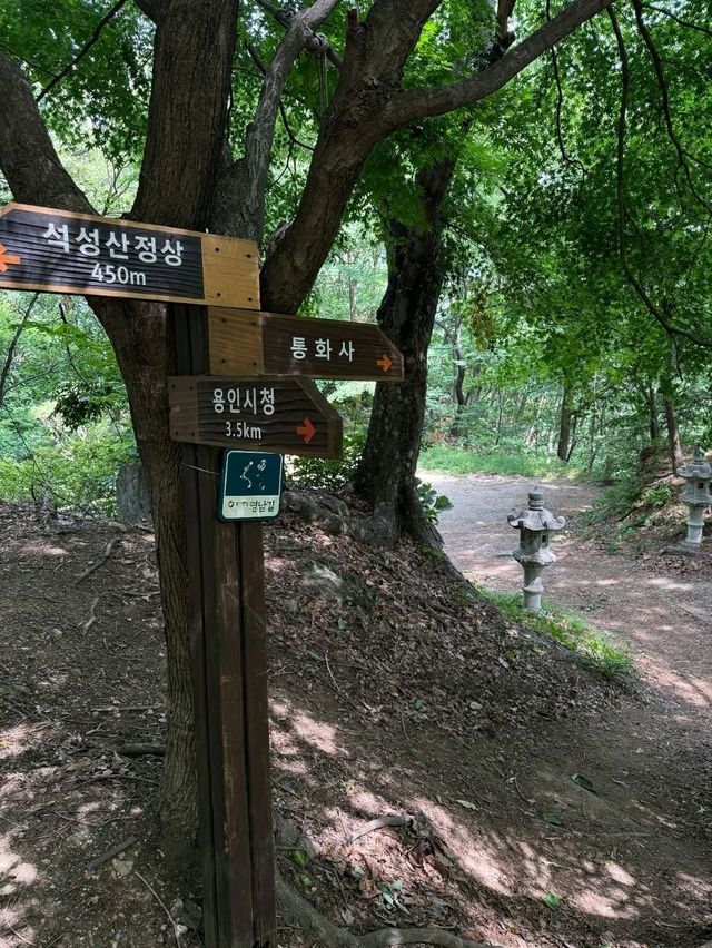 Quiet Trails, Sweet Views, and Zero Hassle