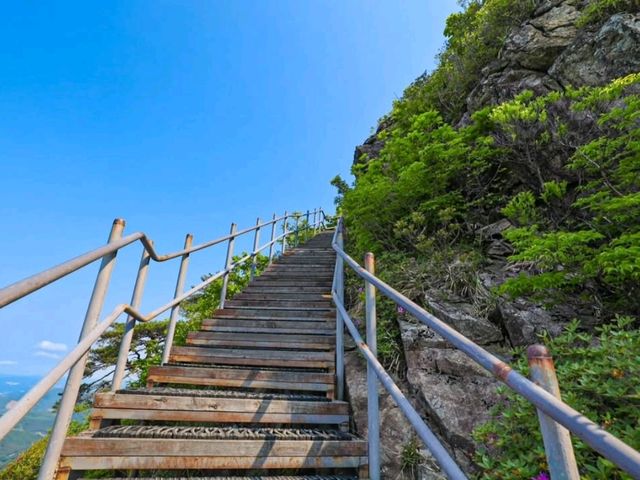 My Adventure at Gyeryongsan